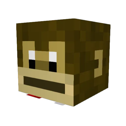 KaiVoid Minecraft avatar head, 3D render