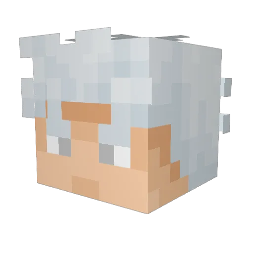 KaiWLA Minecraft avatar head, 3D render