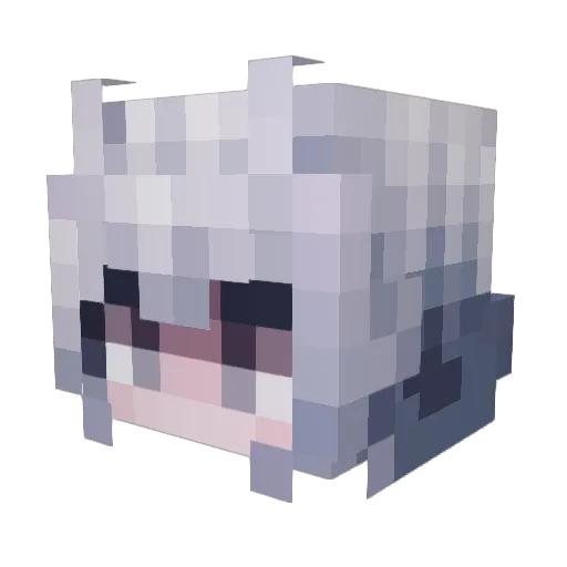 Kai_Er Minecraft avatar head, 3D render