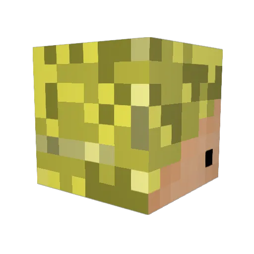 KaiaZena Minecraft avatar head, 3D render