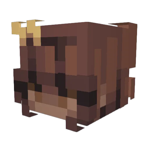 KaidaAurora Minecraft avatar head, 3D render