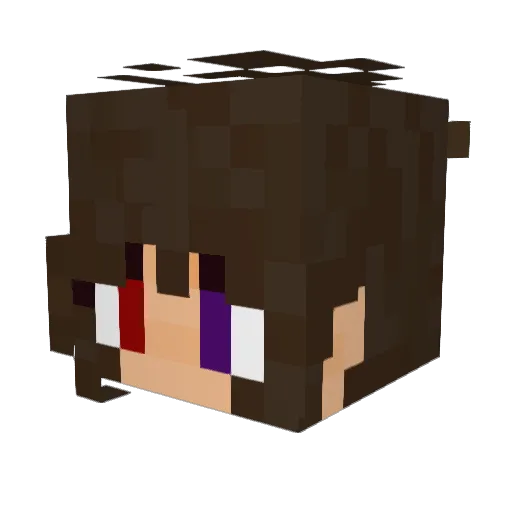 Kaidax999 Minecraft avatar head, 3D render