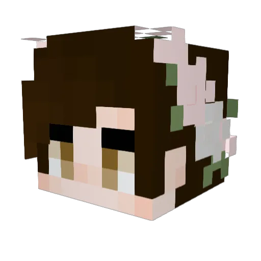 KaidenRN Minecraft avatar head, 3D render