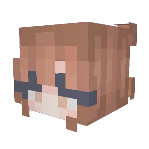Kaiisenn Minecraft avatar head, 3D render