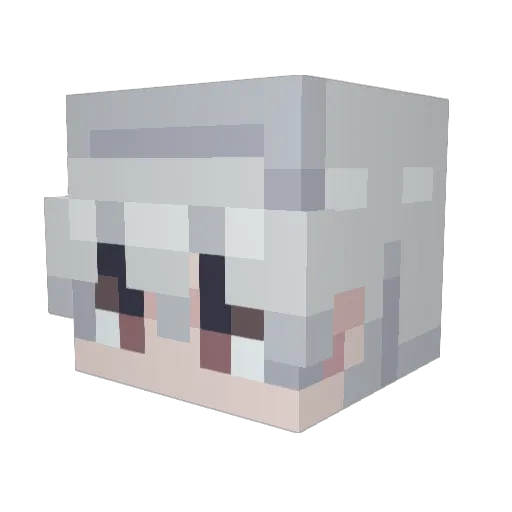 Kaiito19 Minecraft avatar head, 3D render