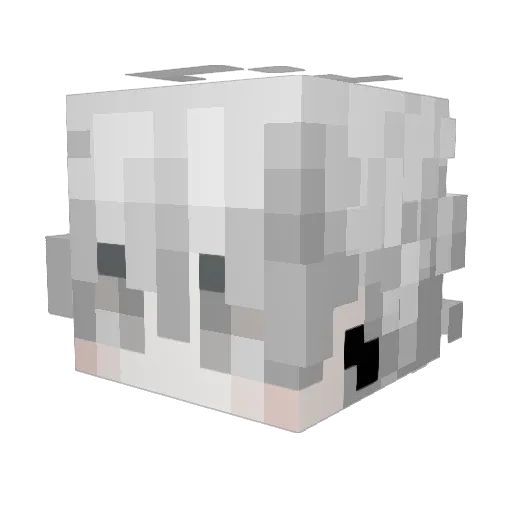 Kaiiz_206 Minecraft avatar head, 3D render