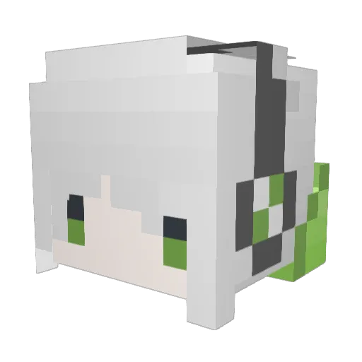 Kaikh0525 Minecraft avatar head, 3D render