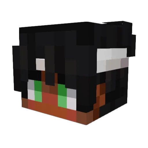 KaikiBorges Minecraft avatar head, 3D render