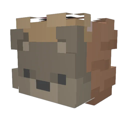Kailen Minecraft avatar head, 3D render