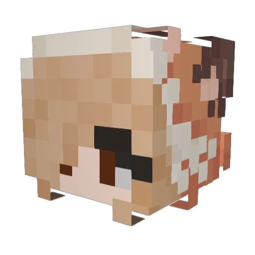 KaileyCoral Minecraft avatar head, 3D render