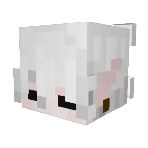 Kaillelel Minecraft avatar head, 3D render