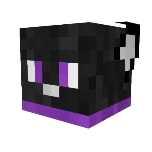 Kailo_OwO Minecraft avatar head, 3D render