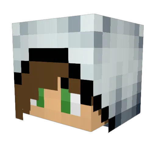 Kailolu Minecraft avatar head, 3D render