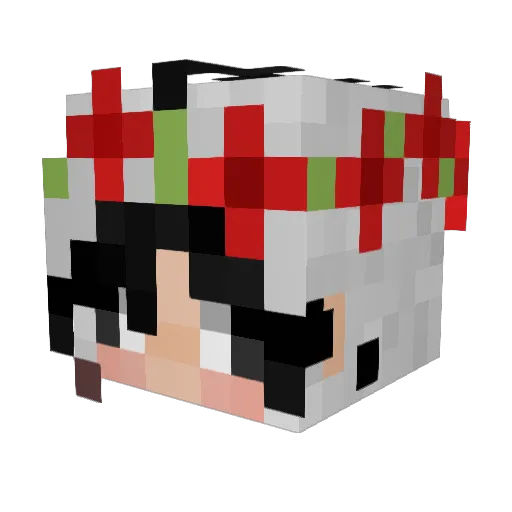Kailz421 Minecraft avatar head, 3D render