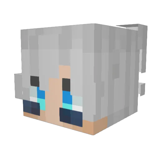 Kaim29 Minecraft avatar head, 3D render