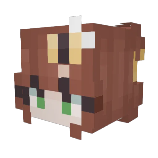 Kaimestry Minecraft avatar head, 3D render
