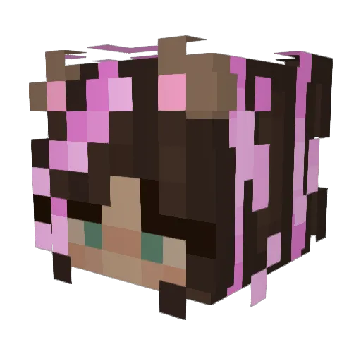 Kaiotik Minecraft avatar head, 3D render