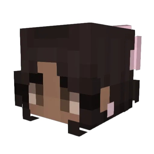 Kaip17 Minecraft avatar head, 3D render