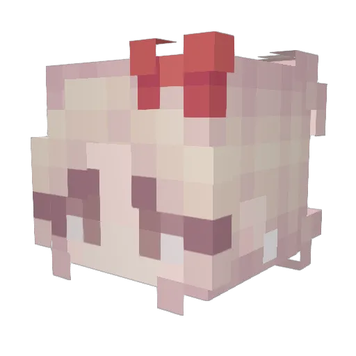 Kairaua Minecraft avatar head, 3D render