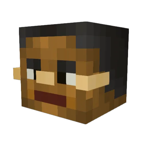 Kaiser384 Minecraft avatar head, 3D render