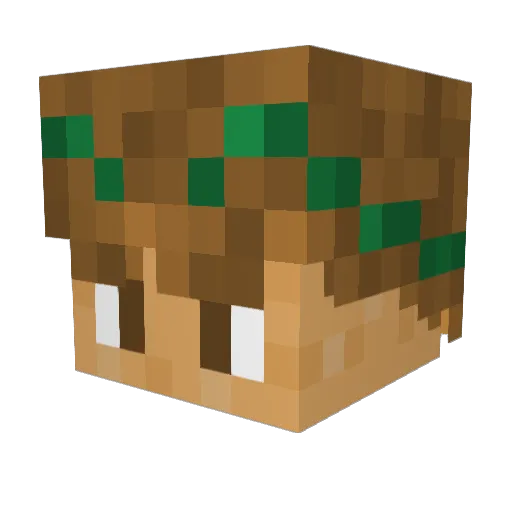 KaiserGHG Minecraft avatar head, 3D render