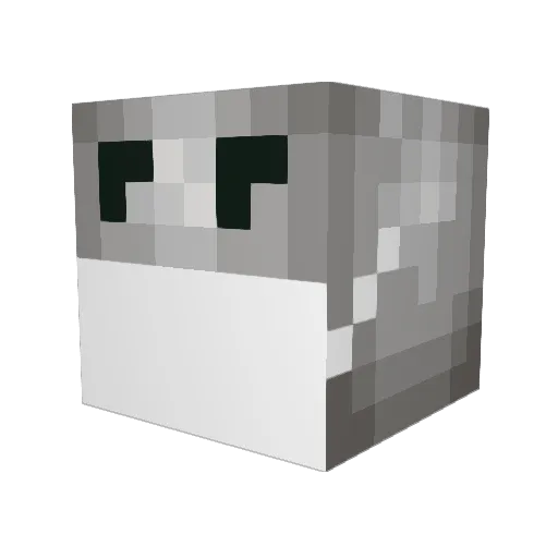 KaiserSosa Minecraft avatar head, 3D render