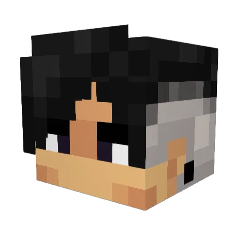 KaiserVoid_ Minecraft avatar head, 3D render
