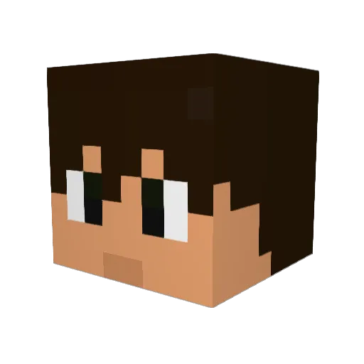 Kaiser_Wont_Helm Minecraft avatar head, 3D render