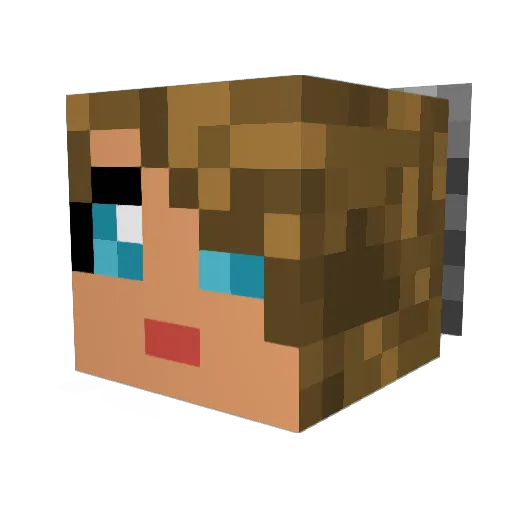 Kaiserhof123 Minecraft avatar head, 3D render