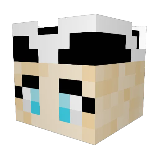 Kaislis10 Minecraft avatar head, 3D render