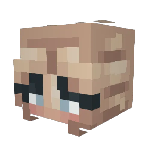 Kait91602 Minecraft avatar head, 3D render