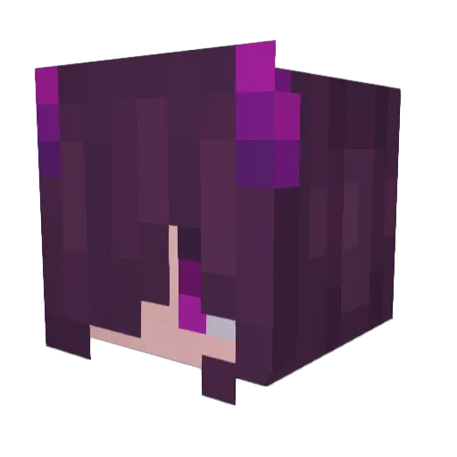 Kaiterpie Minecraft avatar head, 3D render