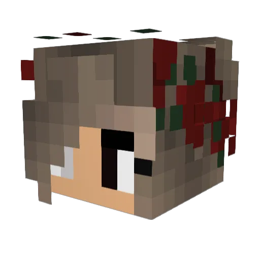 Kaitlinbell Minecraft avatar head, 3D render