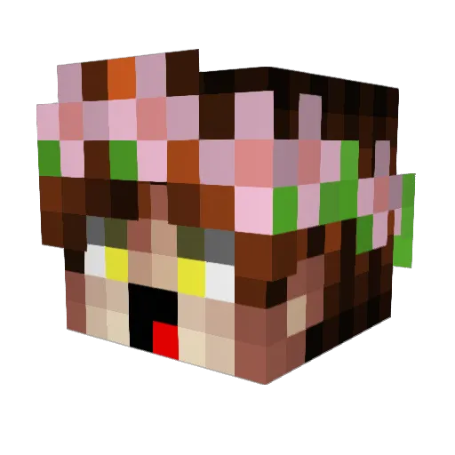 Kaitlovesanime Minecraft avatar head, 3D render