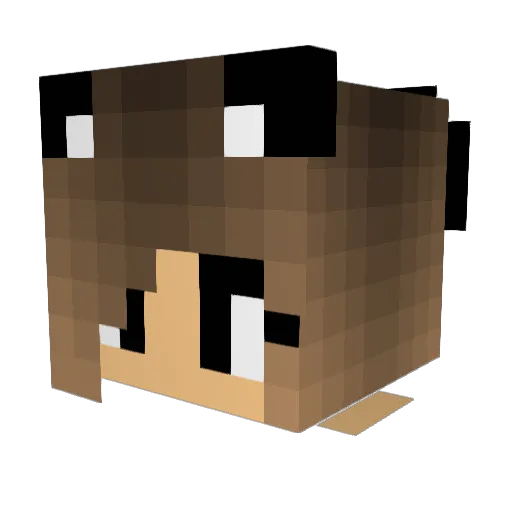 Kaitlyn_K20 Minecraft avatar head, 3D render