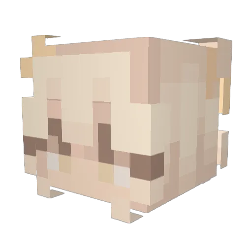 Kaito2112 Minecraft avatar head, 3D render