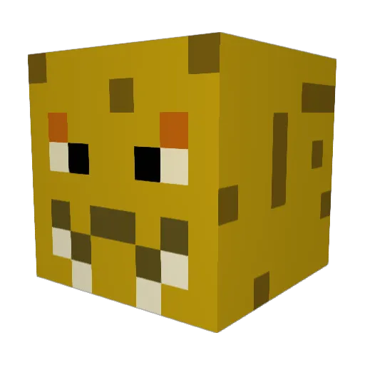 KaiwailaniFelcro Minecraft avatar head, 3D render
