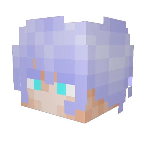 Kaiwyn42 Minecraft avatar head, 3D render
