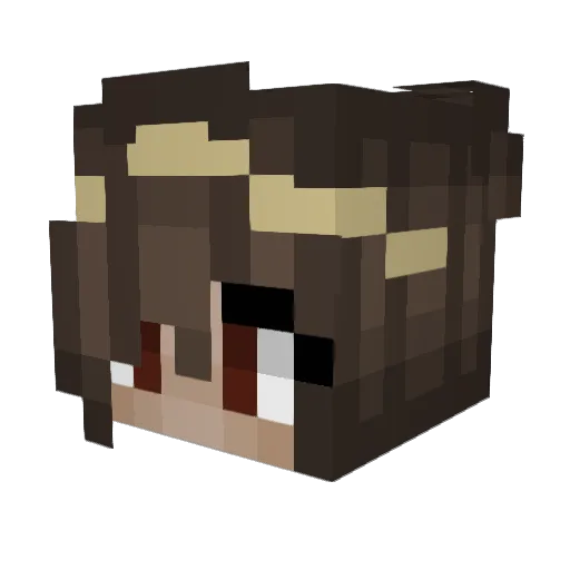 Kaixyn Minecraft avatar head, 3D render