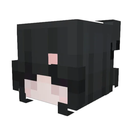 Kaixz16 Minecraft avatar head, 3D render