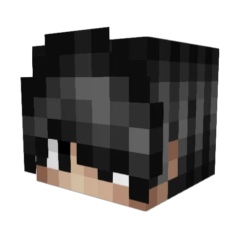 Kaiyoto Minecraft avatar head, 3D render