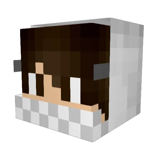 KaizenStat101 Minecraft avatar head, 3D render