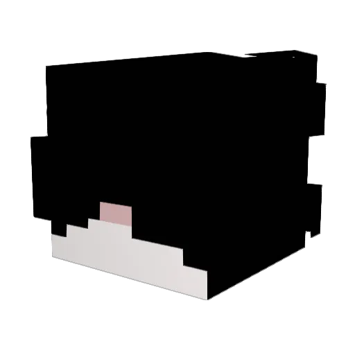 Kaizen_x78 Minecraft avatar head, 3D render