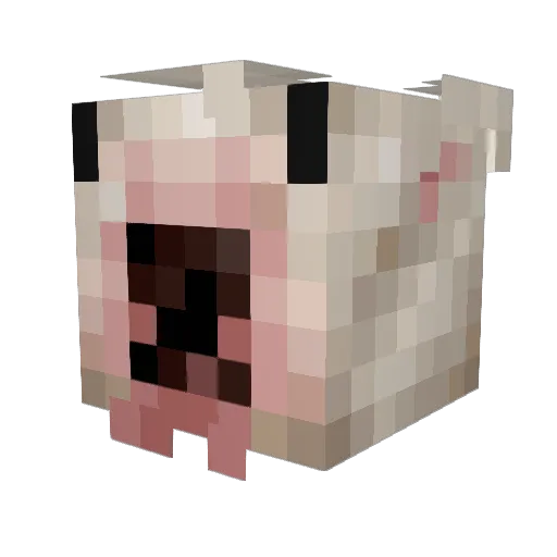 Kaizzenn Minecraft avatar head, 3D render