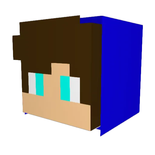 Kaja645 Minecraft avatar head, 3D render