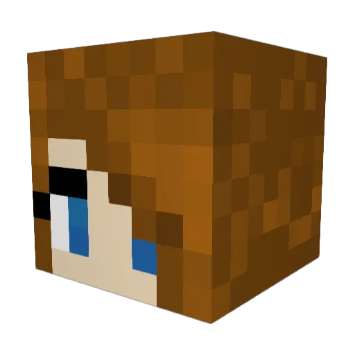 KajaPus Minecraft avatar head, 3D render