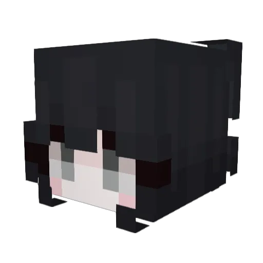 Kajacz Minecraft avatar head, 3D render