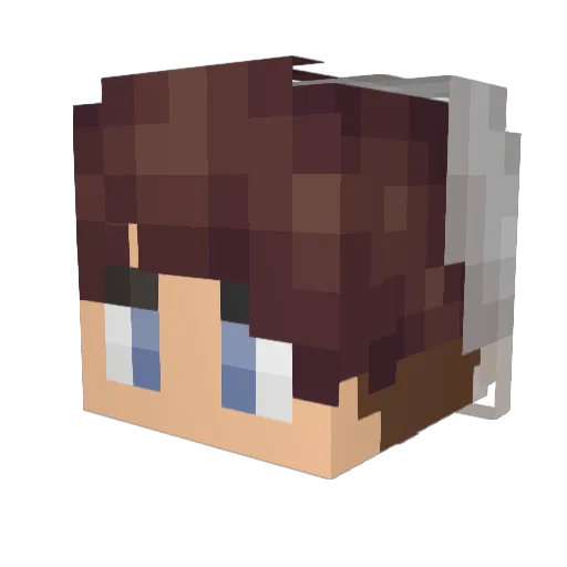 Kajiggers Minecraft avatar head, 3D render