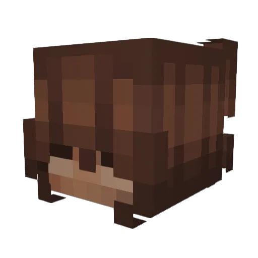 Kajikasu Minecraft avatar head, 3D render