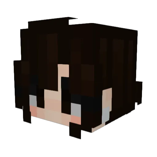 Kajin141 Minecraft avatar head, 3D render